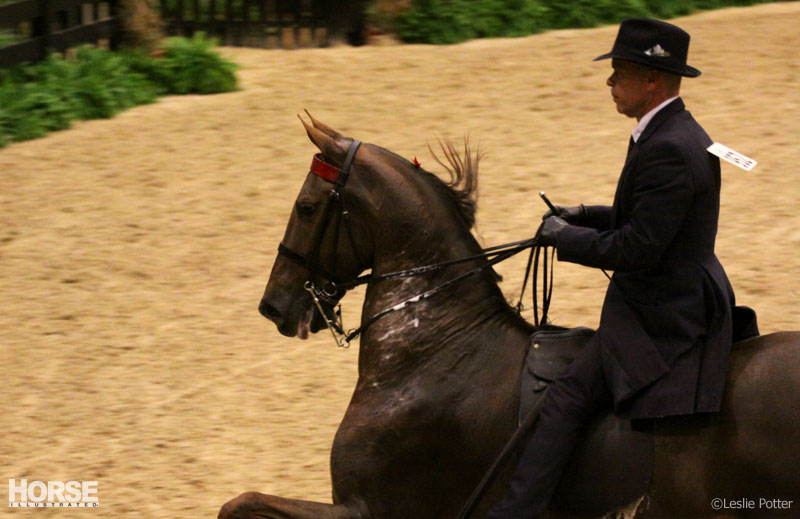 Alltech National Horse Show