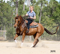 Anky van Grunsven riding a reining Quarter Horse