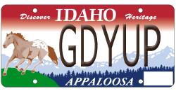 Order your custom Idaho Appaloosa license plate from AccessIdaho.com