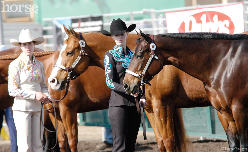 Quarter Horse Show