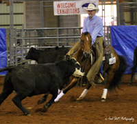 The 2009 ARHA World Show is being held in Murfreesboro, Tenn.