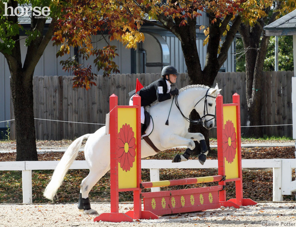 Horse Show