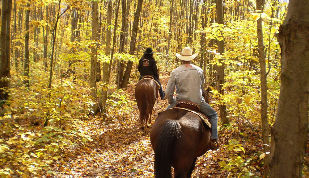 Trail Riding in Autumn Woods