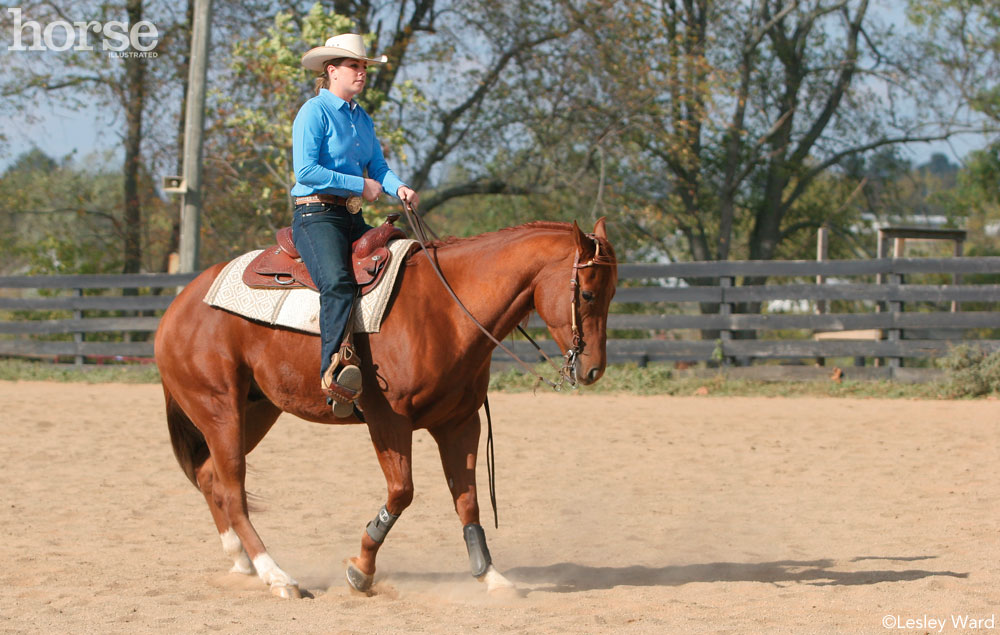 Backing up a horse