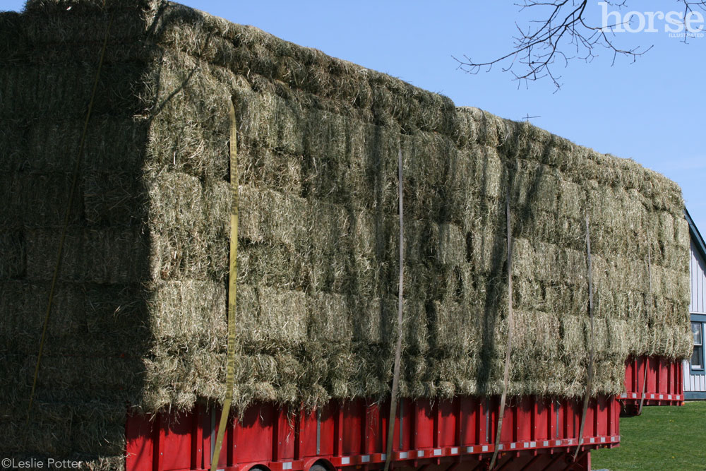 Baled Hay