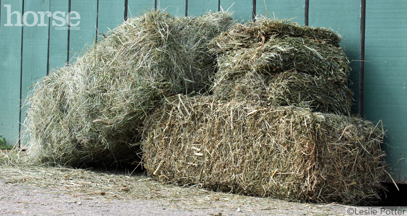 Bales of Hay