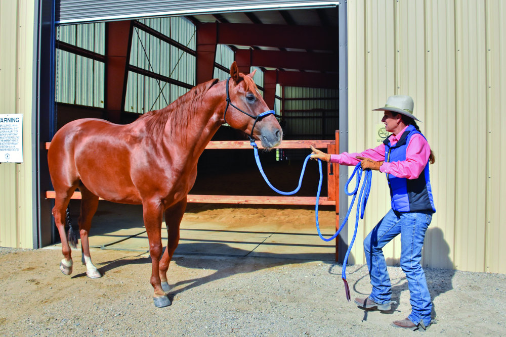 Julie Goodnight Barn Aisle Training