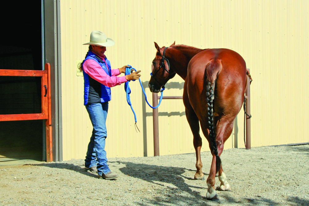 Julie Goodnight Barn Aisle Training