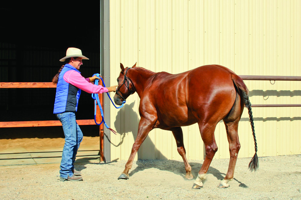 Julie Goodnight Barn Aisle Training