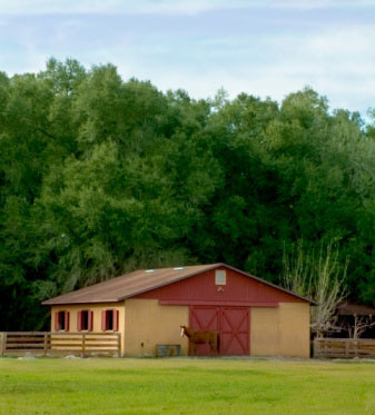 Barn