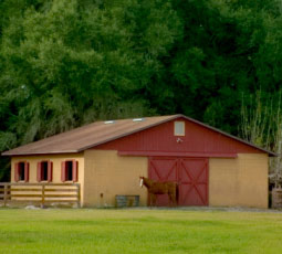 Horse farm