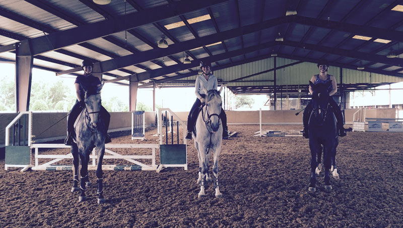 Barn Friends