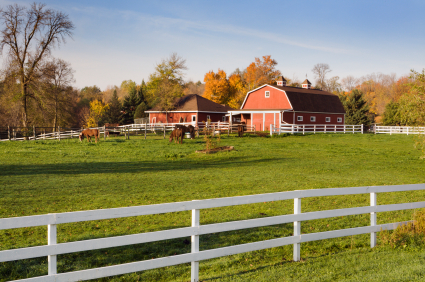 Horse Barn