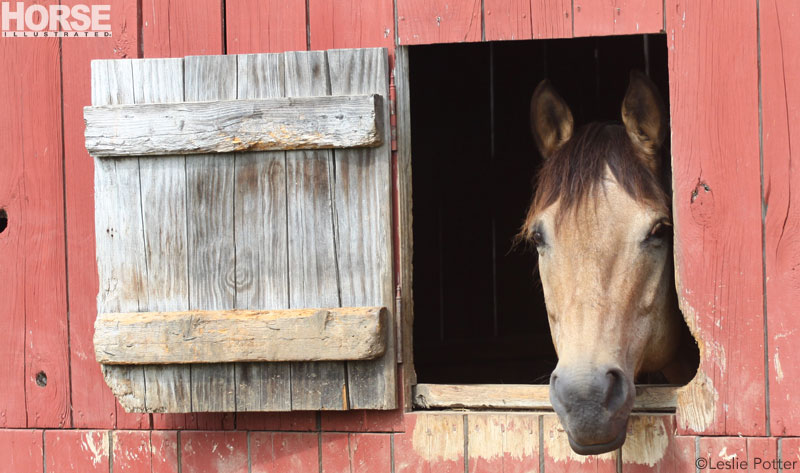 Barn Window