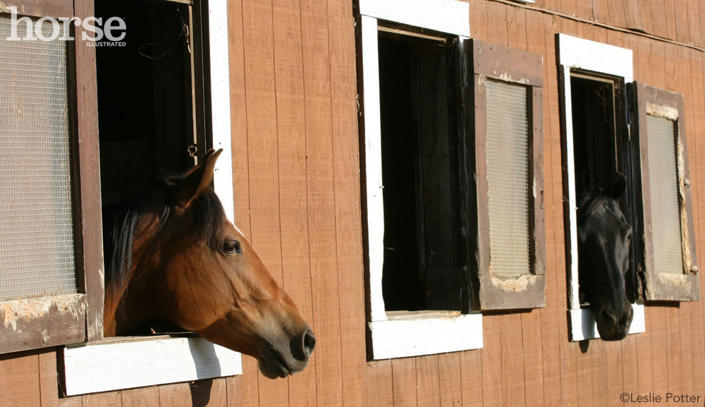 Barn Windows