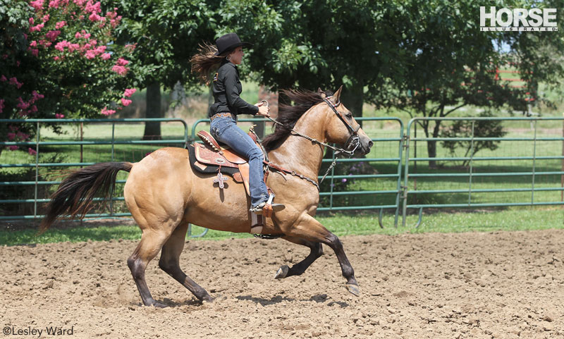 Barrel Training