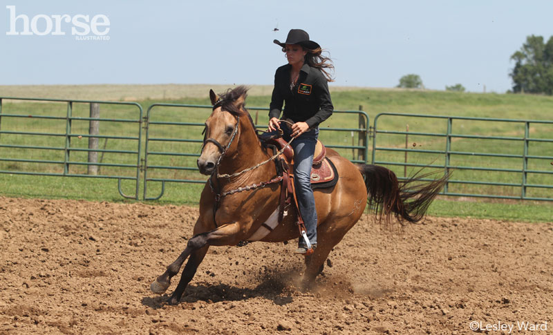 Practicing circles with a barrel horse