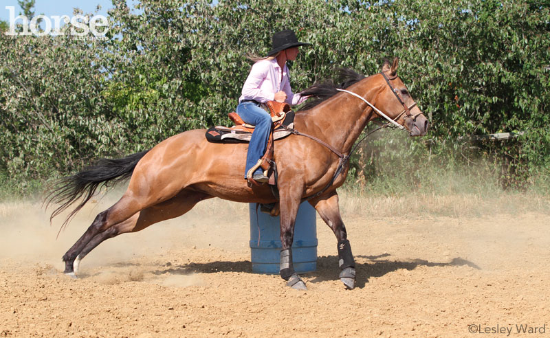 Barrel Racer