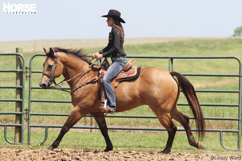 Barrel Racing Practice