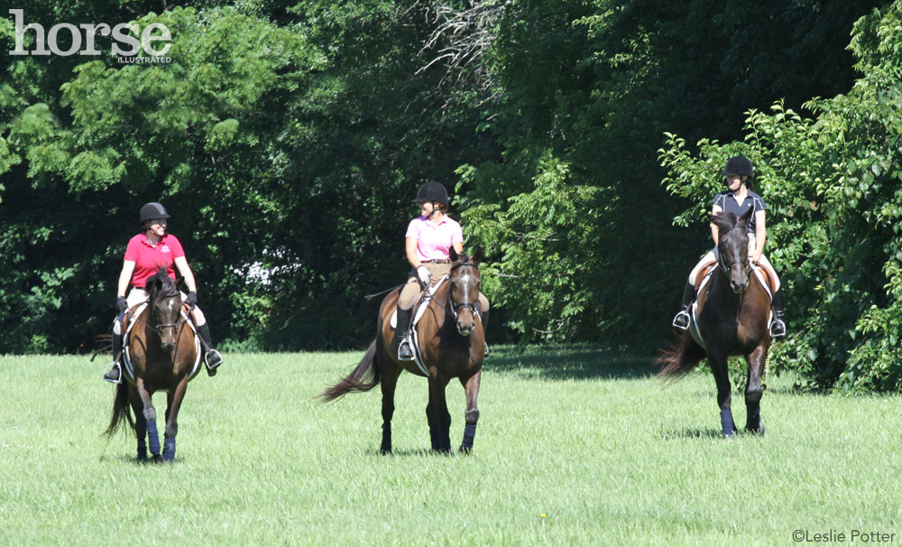 Riding Older Horses