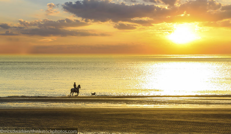 Beach Ride