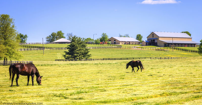 Boarding Stable