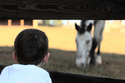 Boy watching horse