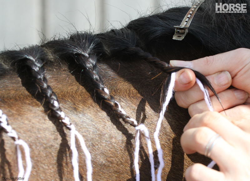 horse mane braid