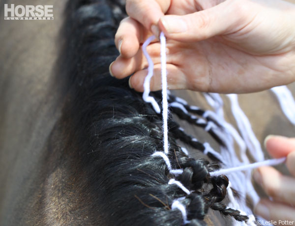horse mane braid