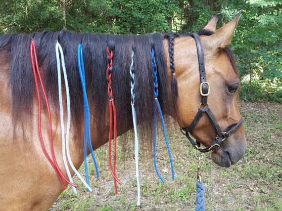 Patriotic Horse Gear
