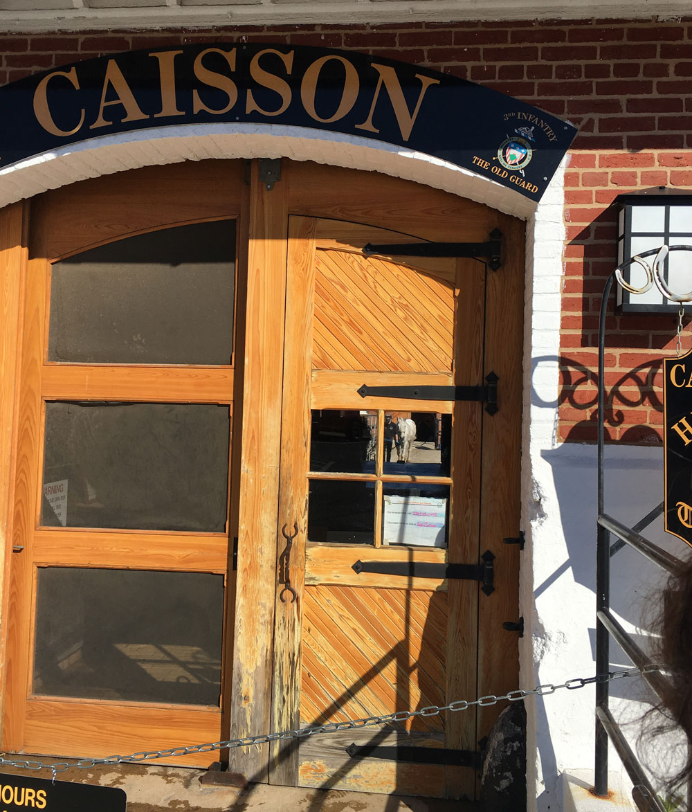 Caisson Horses