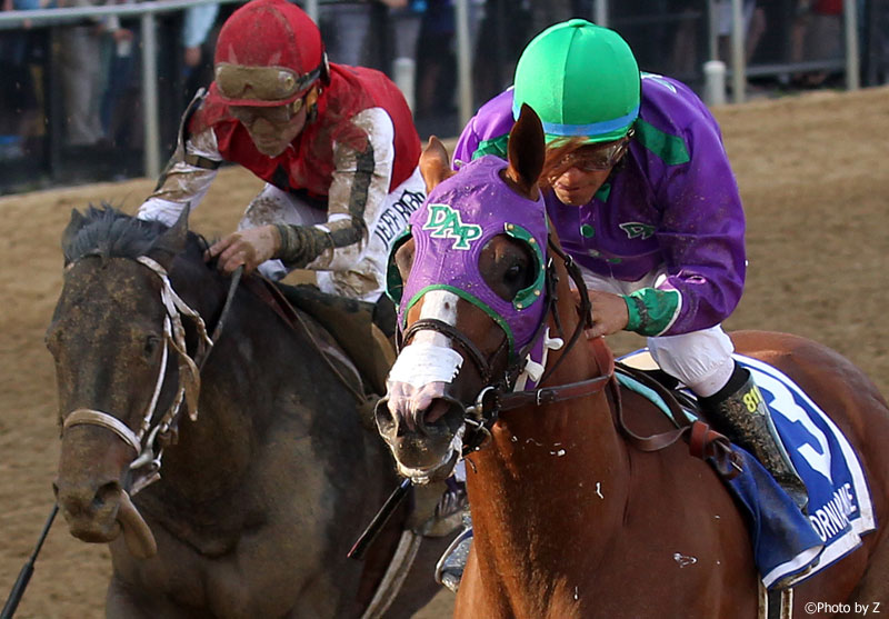 California Chrome