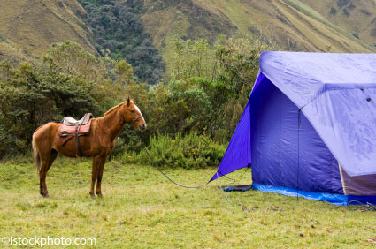 Horse Camping