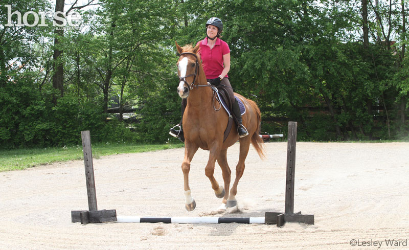 Canter over pole