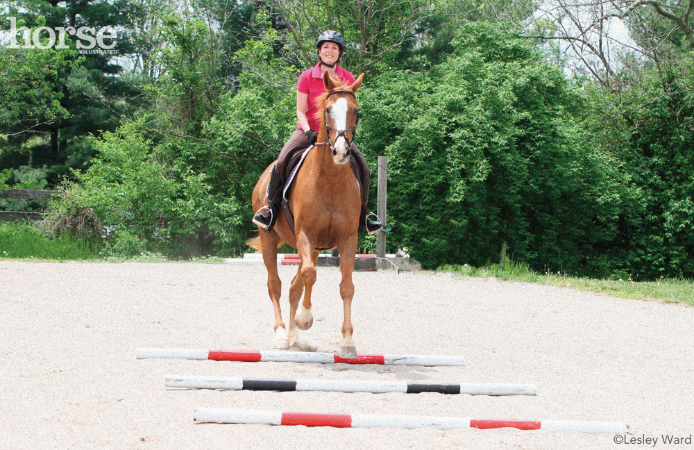 Canter Poles