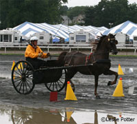 Carriage driving competition