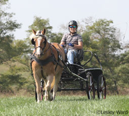 Carriage Driver in Helmet