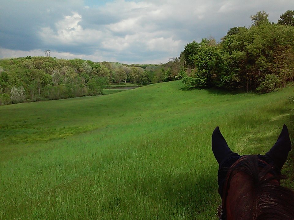 Horse Trails