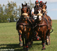 Chester Weber at the 2009 Kentucky Cup