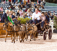 Chester Weber at the 2008 Holiday & Horses show in Folorida