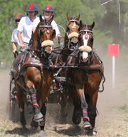 Chester Weber at the 2009 Live Oak International