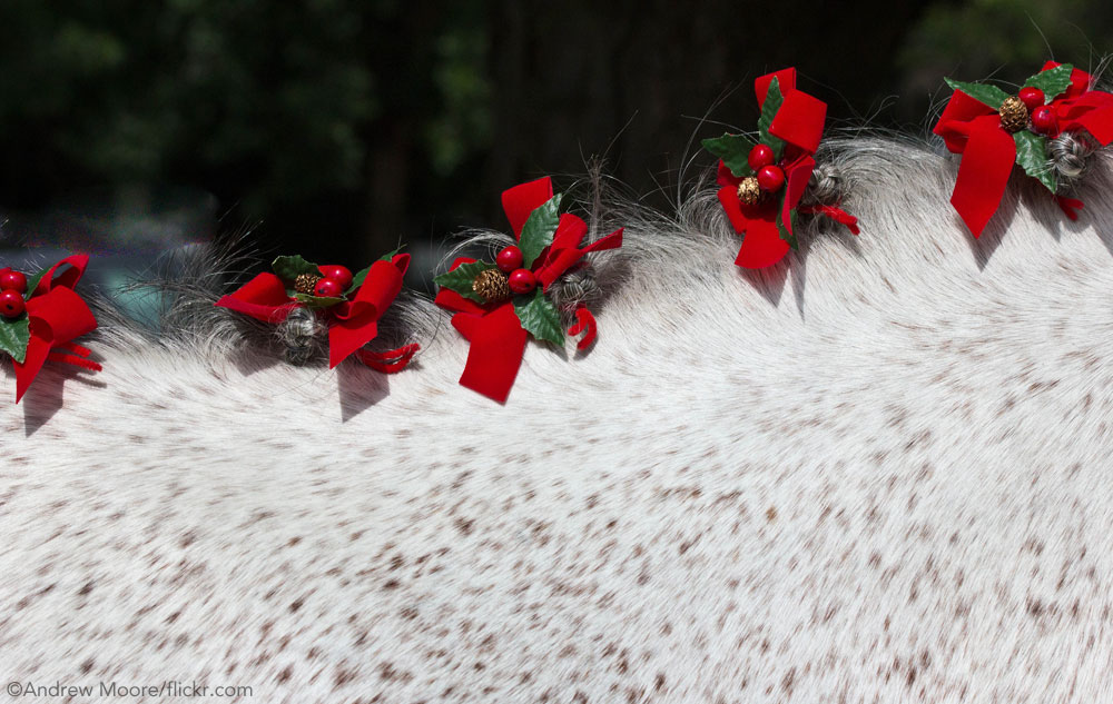 Christmas Braids