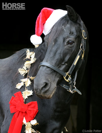 Christmas Horse