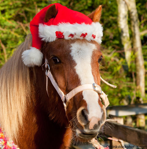 Christmas Pony