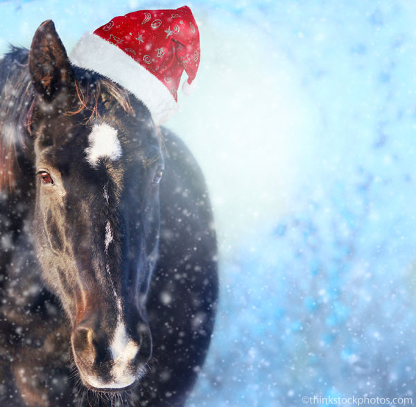 Santa Horse