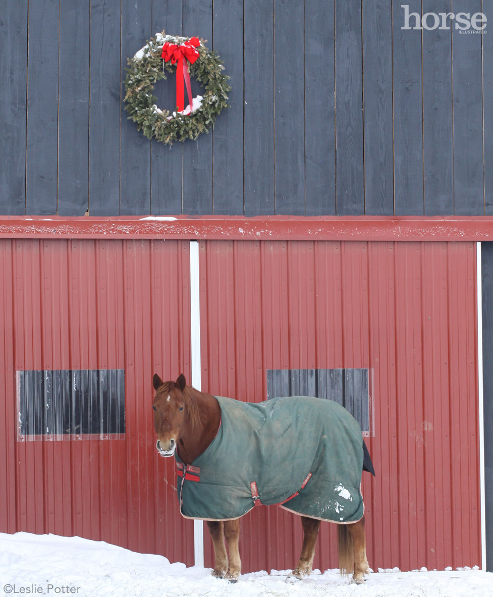 Christmas Wreath and Pony