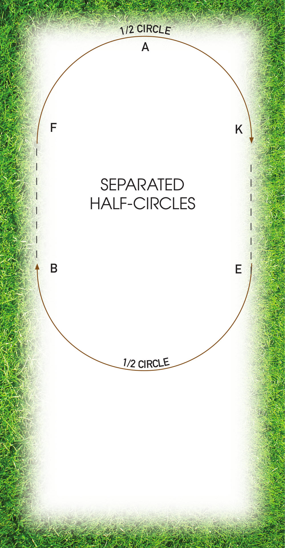 Circle diagram