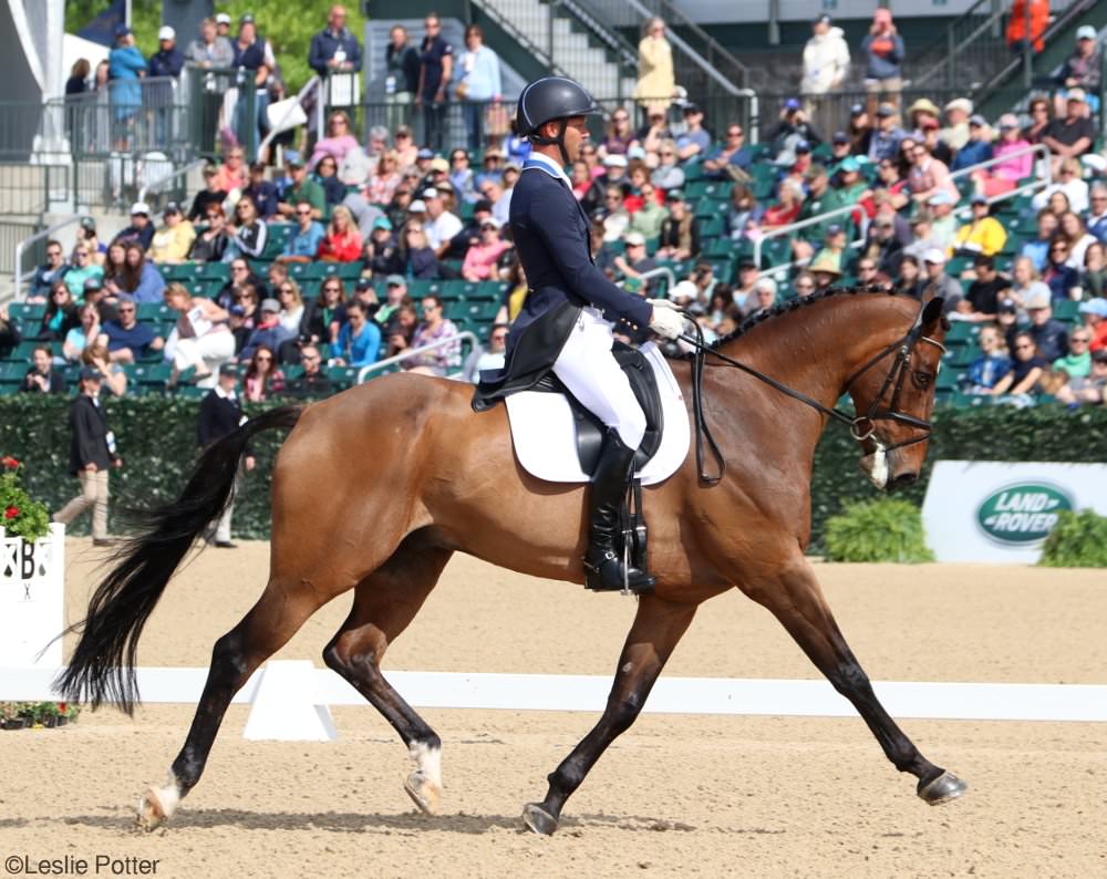 Rolex Dressage