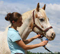 Clipping the muzzle