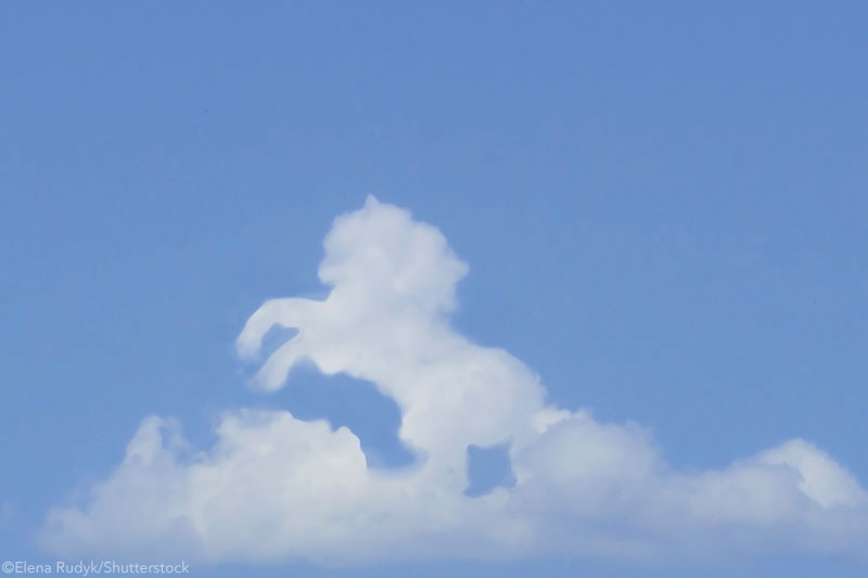 Horse in the Clouds